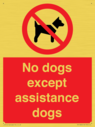 no-dogs-except-assistance-dogs~